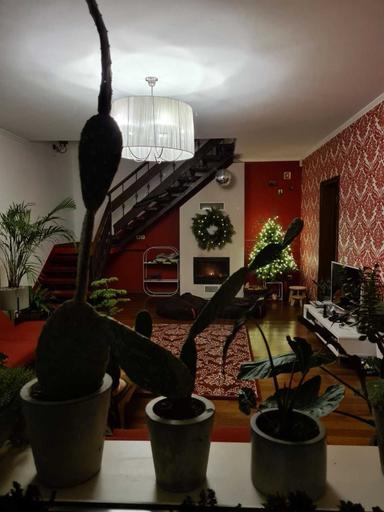 Будинок за адресою вул. Малоголосківська (площа 167 м²) - Atlanta.ua - фото 32