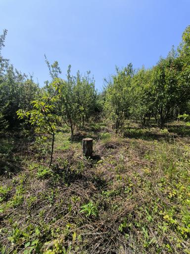 Дом по адресу ул. Капеланська (площадь 50 м²) - Atlanta.ua - фото 25