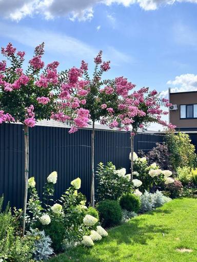 Дом по адресу Петефі Шандора пл. (площадь 152 м²) - Atlanta.ua - фото 25