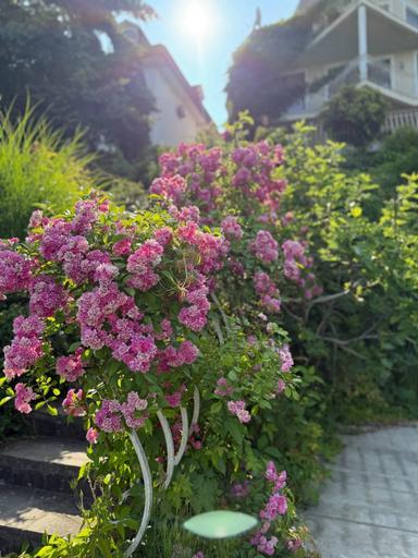 Дом по адресу Петефі Шандора пл. (площадь 400 м²) - Atlanta.ua - фото 37