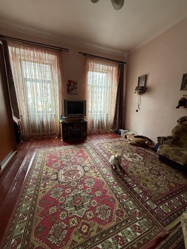 Будинок за адресою Петефі Шандора пл. (площа 84 м²) - Atlanta.ua - фото 20