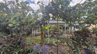 Дом по адресу (площадь 83 м²) - Atlanta.ua - фото 39