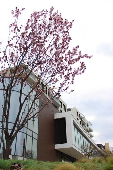 1-комнатная квартира по адресу Петефі Шандора пл. (площадь 40,4 м²) - Atlanta.ua - фото 7