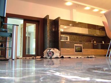 Дом по адресу Дачный 2-й пер. (площадь 800 м²) - Atlanta.ua - фото 17