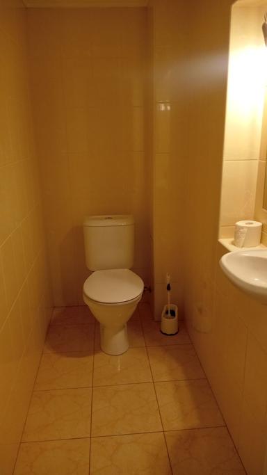 Многокомнатная квартира по адресу (площадь 250 м²) - Atlanta.ua - фото 30