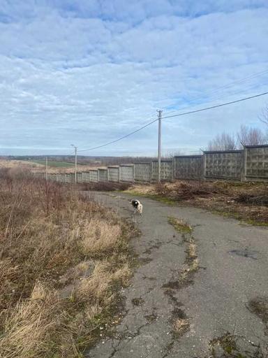 Коммерческая недвижимость по адресу (площадь 10562 м²) - Atlanta.ua - фото 19