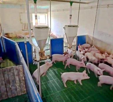 Комерційна нерухомість за адресою вул. Магістратська (площа 4120 м²) - Atlanta.ua - фото 17