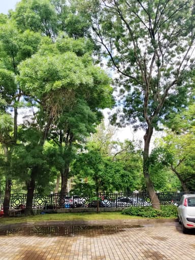 Многокомнатная квартира по адресу Куликово поле пл. (площадь 115 м²) - Atlanta.ua - imageAlt 43