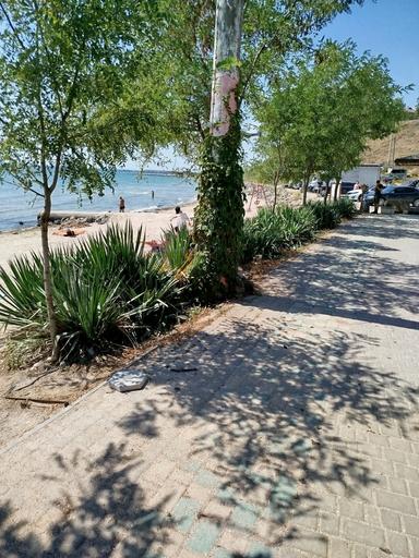 Дом по адресу (площадь 55 м²) - Atlanta.ua - фото 9