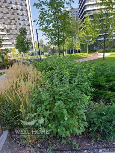 2-кімнатна квартира за адресою наб. Дніпровська (площа 72 м²) - Atlanta.ua - фото 39