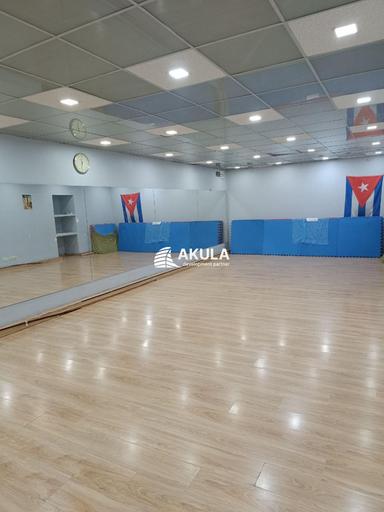 Комерційна нерухомість за адресою вул. Межигірська (площа 297 м²) - Atlanta.ua - фото 38