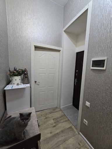 2-комнатная квартира по адресу Куликово поле пл. (площадь 40 м²) - Atlanta.ua - фото 17