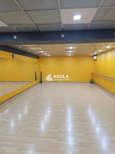 Комерційна нерухомість за адресою вул. Межигірська (площа 297 м²) - Atlanta.ua - фото 26