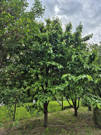 Дом по адресу Петефі Шандора пл. (площадь 61 м²) - Atlanta.ua - фото 26