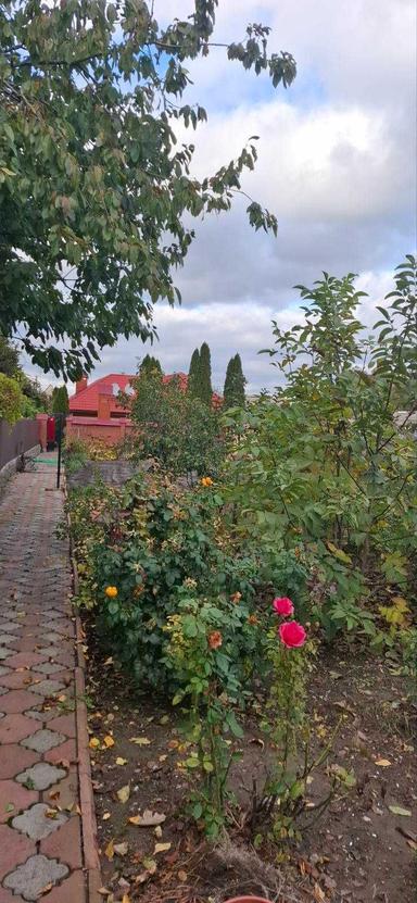 Дом по адресу ул. Бандеры Степана (площадь 130 м²) - Atlanta.ua - фото 25