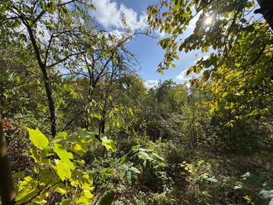 Будинок за адресою вул. Спаська (площа 30 м²) - Atlanta.ua - фото 23