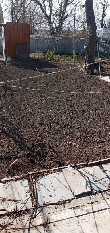 Будинок за адресою Люстдорфська дор. (площа 70 м²) - Atlanta.ua - фото 11