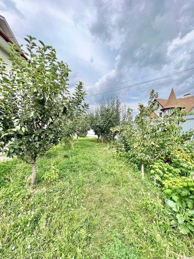 Коммерческая недвижимость по адресу ул. Виноградная (площадь 465 м²) - Atlanta.ua - фото 47