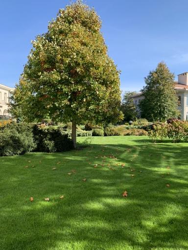 Дом по адресу ул. Спортивная (площадь 850 м²) - Atlanta.ua - фото 8