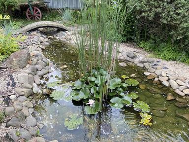 Будинок за адресою вул. Магістратська (площа 350 м²) - Atlanta.ua - фото 42