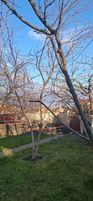 Дом по адресу Космонавтов просп. (площадь 209 м²) - Atlanta.ua - фото 35