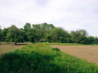 House by the address st. Tankistov (area 50 m²) - Atlanta.ua - photo 12