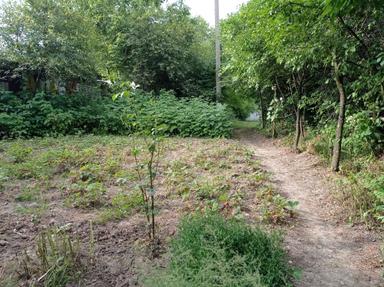 Будинок за адресою вул. Вижницька (площа 28 м²) - Atlanta.ua - фото 22