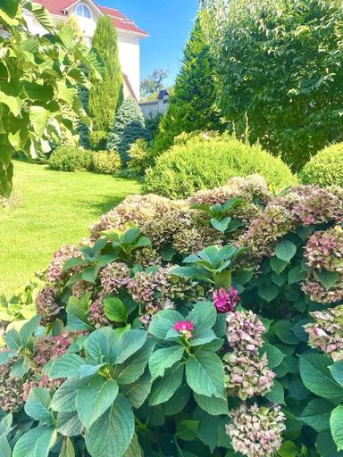 House by the address (area 316 m²) - Atlanta.ua - photo 29