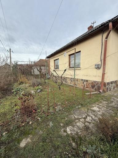 Будинок за адресою Петефі Шандора пл. (площа 130 м²) - Atlanta.ua - фото 13