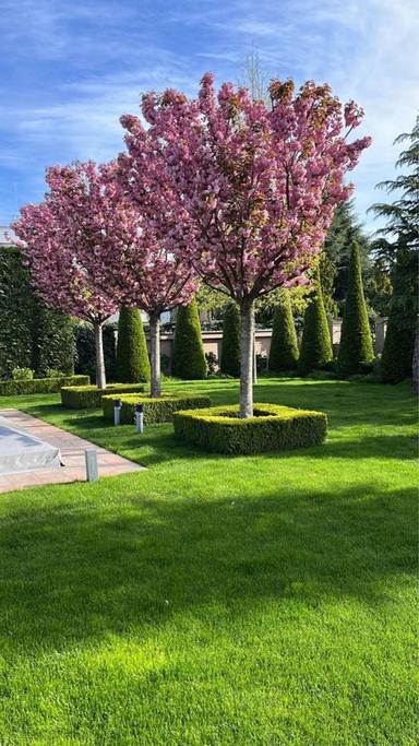 Дом по адресу ул. Спортивная (площадь 550 м²) - Atlanta.ua - фото 40