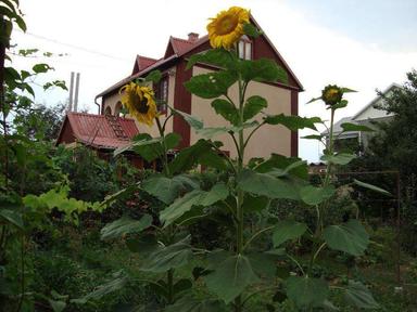 Дом по адресу (площадь 105 м²) - Atlanta.ua - фото 22
