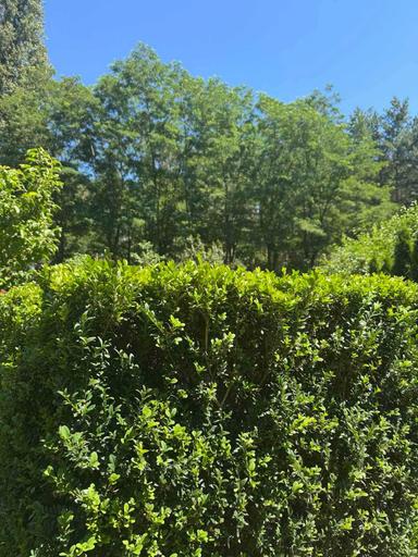 Дом по адресу ул. Лукьяненко Левка(Тимошенко) (площадь 150,5 м²) - Atlanta.ua - фото 31