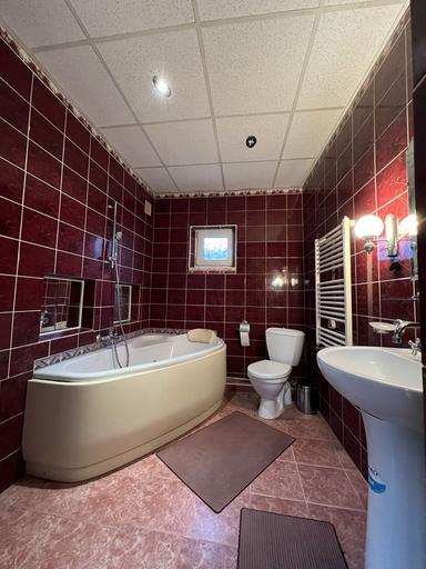 Дом по адресу Петефі Шандора пл. (площадь 213 м²) - Atlanta.ua - фото 14