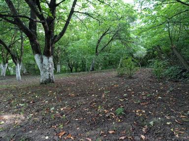 Будинок за адресою вул. Вижницька (площа 28 м²) - Atlanta.ua - фото 21