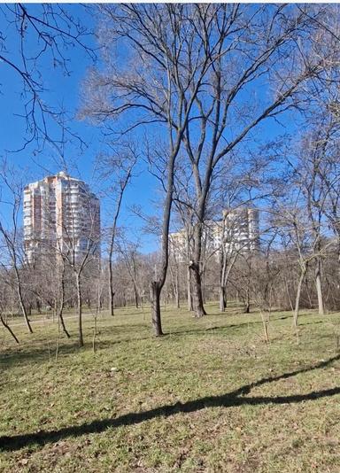 2-кімнатна квартира за адресою вул. Шевченка (площа 81 м²) - Atlanta.ua - фото 28