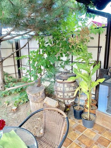 House by the address st. Mikhaylovskaya Industrialnaya (area 370 m²) - Atlanta.ua - photo 45