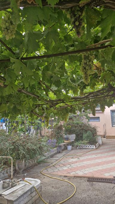 Дом по адресу (площадь 83 м²) - Atlanta.ua - фото 36