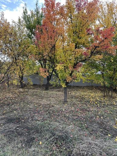 House by the address st. 1 y Geneticheskiy per (area 60 m²) - Atlanta.ua - photo 14