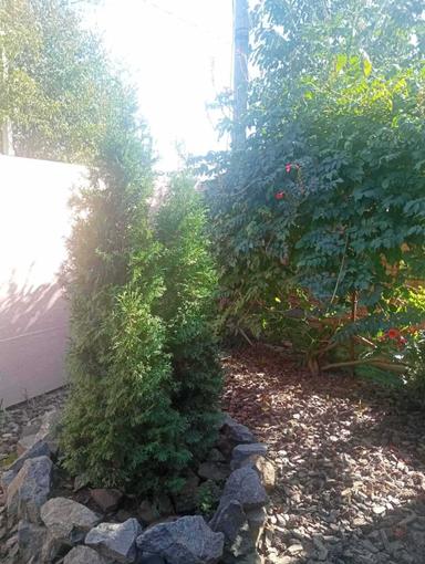 Дом по адресу ул. Бандеры Степана (площадь 65 м²) - Atlanta.ua - фото 25