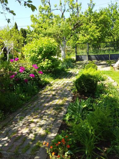 Дом по адресу (площадь 37 м²) - Atlanta.ua - фото 23