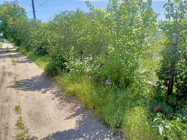 Будинок за адресою (площа 16 м²) - Atlanta.ua - фото 15