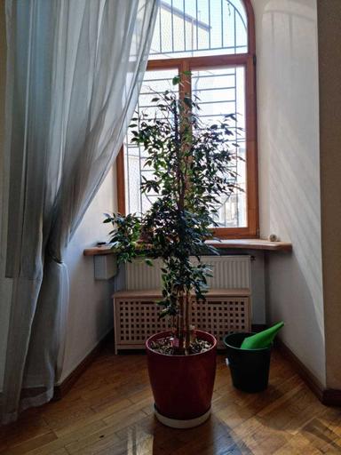 Многокомнатная квартира по адресу Куликово поле пл. (площадь 144 м²) - Atlanta.ua - фото 25