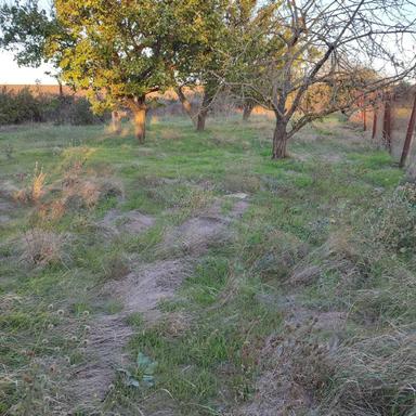 House by the address st. Molodezhnaya (area 60 m²) - Atlanta.ua - photo 20