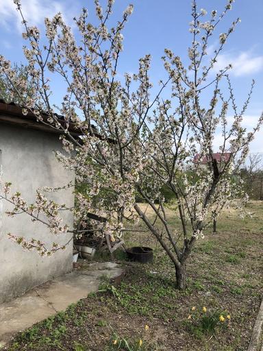 House by the address st. Primorskaya (area 19 m²) - Atlanta.ua - photo 37