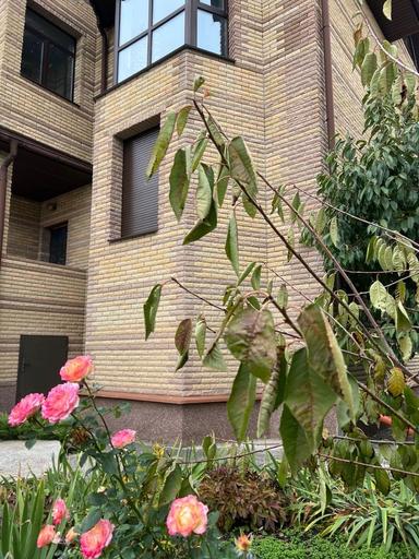 Дом по адресу ул. Дарвина (площадь 497 м²) - Atlanta.ua - фото 15