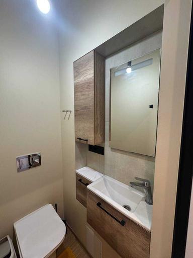 Дом по адресу Старознесенська ул. (площадь 50 м²) - Atlanta.ua - фото 27