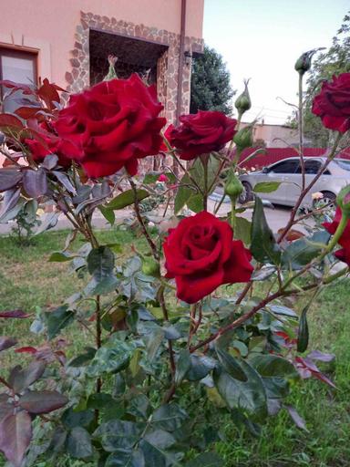 Дом по адресу (площадь 273,8 м²) - Atlanta.ua - фото 38