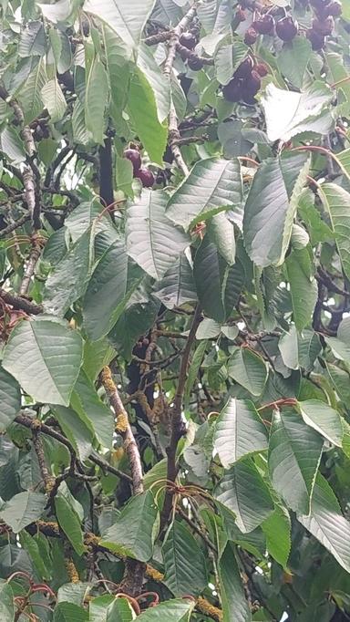 Будинок за адресою (площа 87 м²) - Atlanta.ua - фото 41