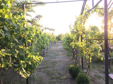 Дом по адресу ул. Победы (площадь 112 м²) - Atlanta.ua - фото 40