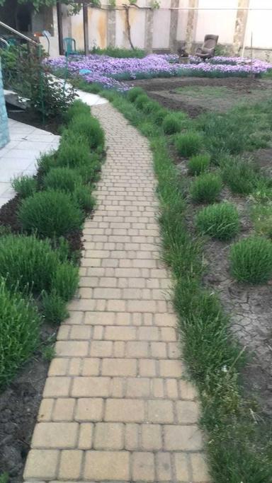 Дом по адресу ул. Спортивная (площадь 450 м²) - Atlanta.ua - фото 45